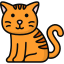 Kedi
