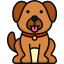 Köpek