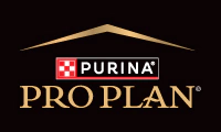 Pro Plan